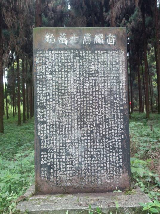 张纮（宋朝殿中丞）