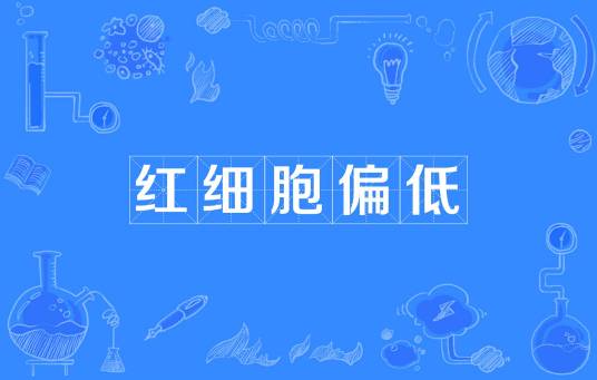 红细胞偏低