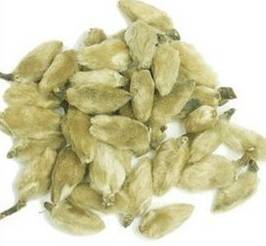 玉兰（汉语词语）