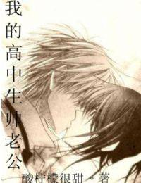 我的高中生帅老公
