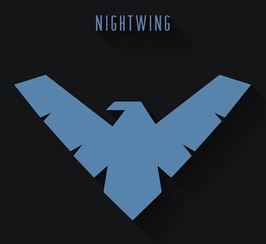 夜翼（美国DC漫画旗下多名超级英雄的名号）