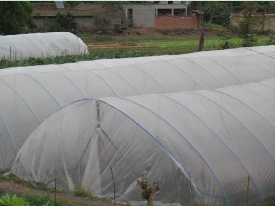 塑料大棚（保护地栽培设施）