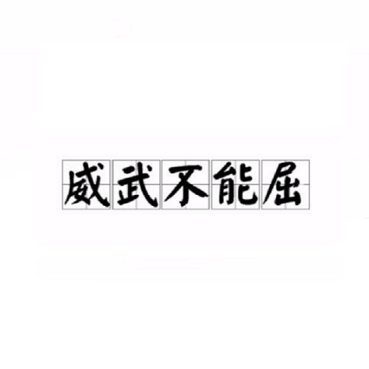 威武不能屈