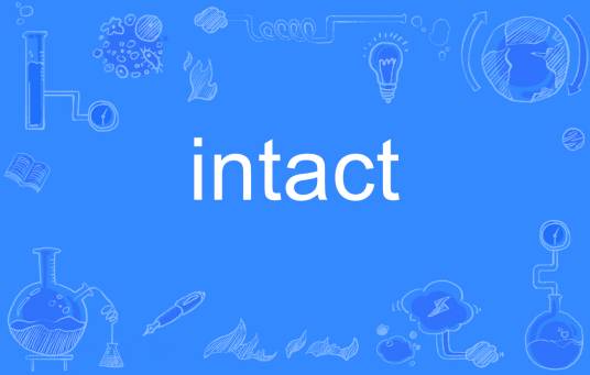 intact（英语单词）
