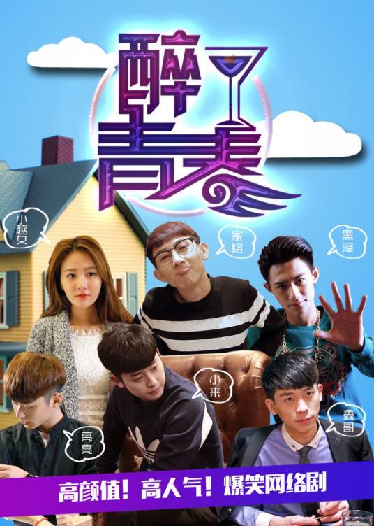 醉了青春（2016年王云涛执导的偶像剧）