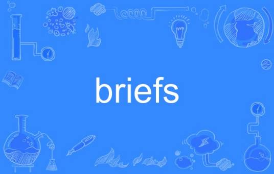 Briefs