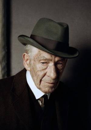 心灵诡计（2015年伊恩·麦克莱恩主演的电影）