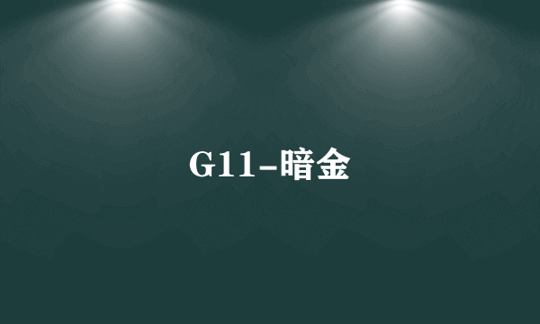 G11-暗金