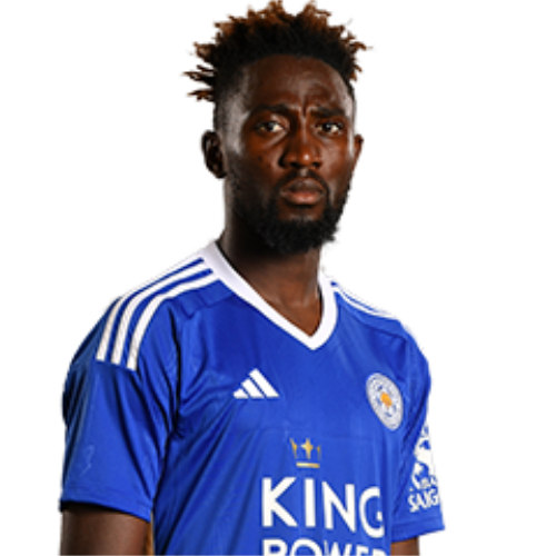 威尔弗雷德·恩迪迪