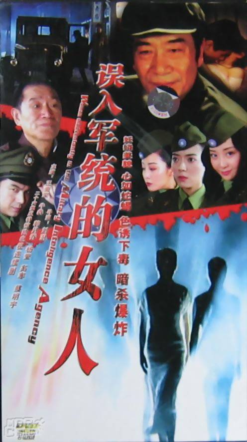 误入军统的女人（2006年刘澍执导电视剧）