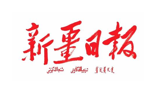 新疆日报