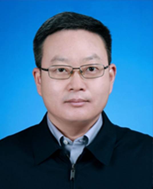 刘力（安徽省黄山市政府党组成员、副市长，上海市教育委员会副主任（挂职））