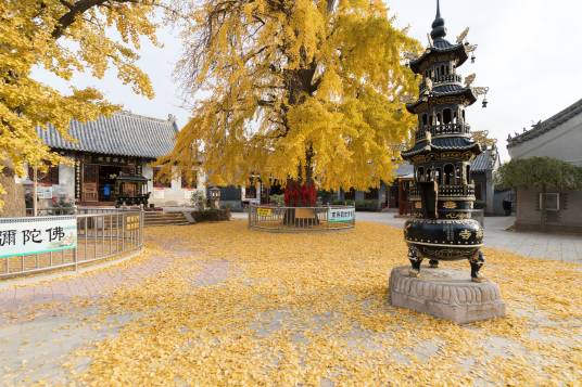 法海寺（中国佛教临济宗寺院）