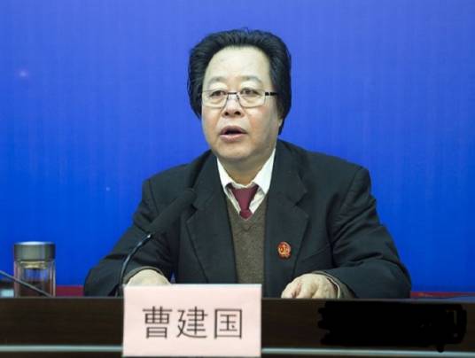 曹建国（陕西省高级人民法院原党组副书记、副院长）