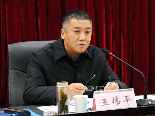 王伟平（河南警察学院原党委书记、原省纪委驻省公安厅纪检组组长）