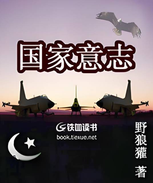 国家意志（野狼獾创作的网络小说）