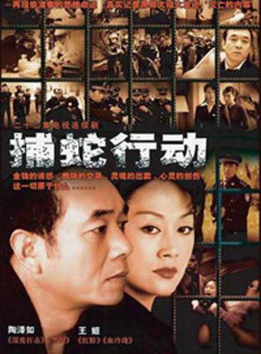 捕蛇行动（2005年谷锦云执导的电视剧）