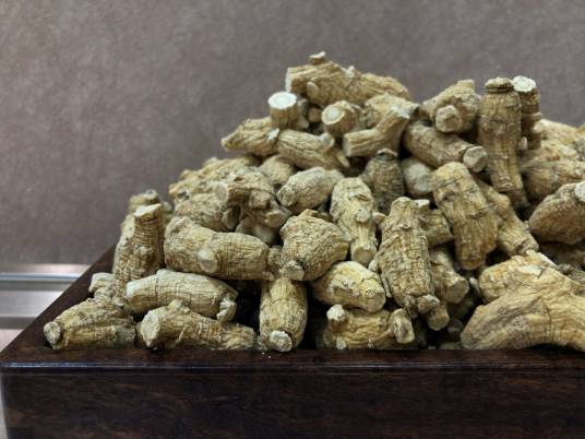 西洋参（中药）