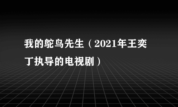 我的鸵鸟先生（2021年王奕丁执导的电视剧）