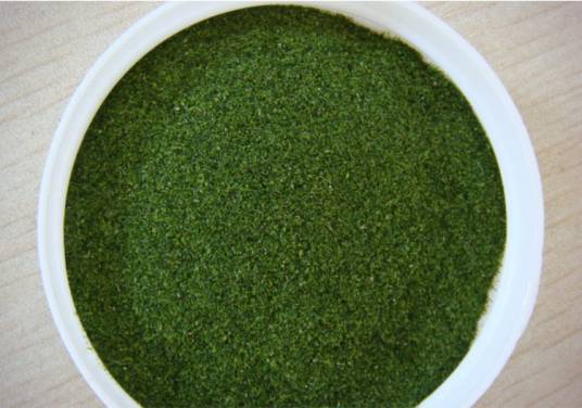 自制海藻粉