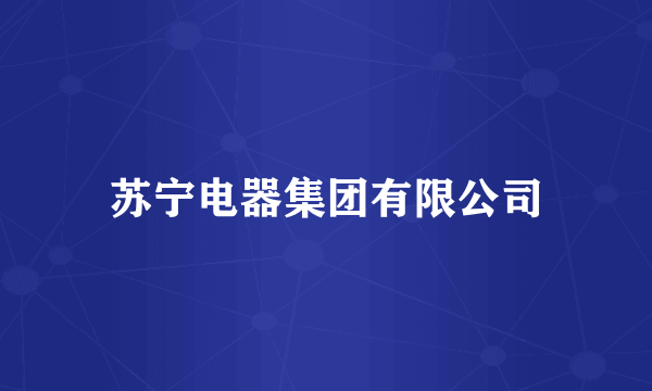 苏宁电器集团有限公司