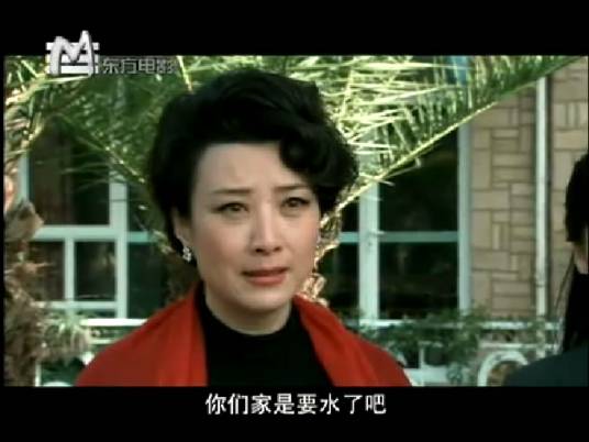母子情深（2006年王静主演都市奇情电视剧）