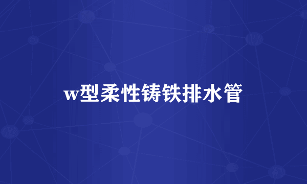 w型柔性铸铁排水管