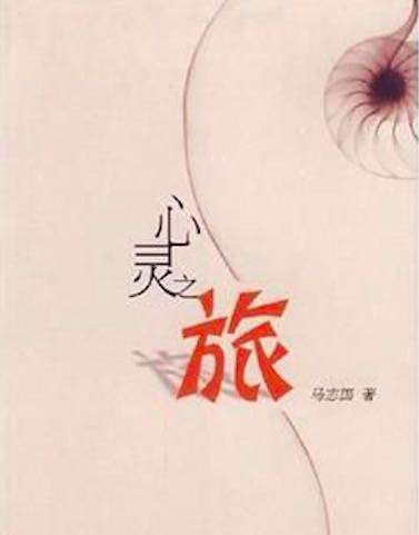 心灵之旅（2004年中国水利水电出版社出版的图书）