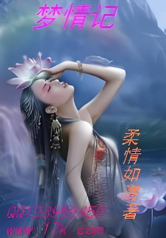 梦情记
