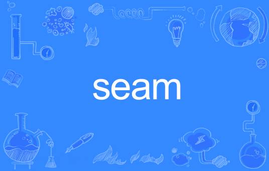 seam（英语单词）