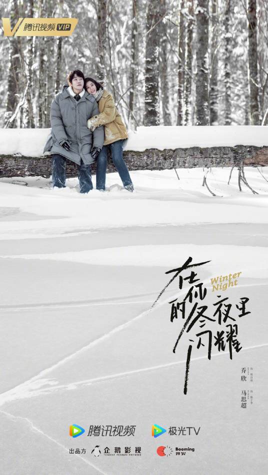 在你的冬夜里闪耀（2022年田宇执导的爱情奇遇剧）