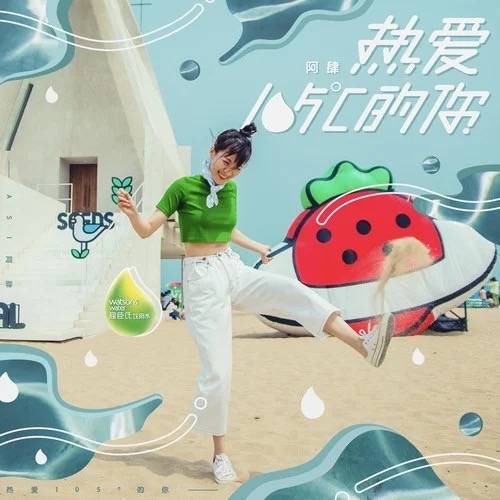 热爱105℃的你（2019年阿肆演唱的歌曲）