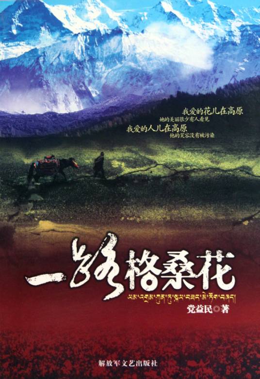 一路格桑花（2007年石建都执导电影）