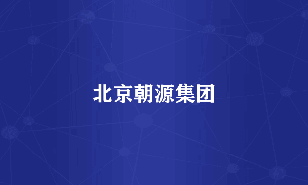 北京朝源集团