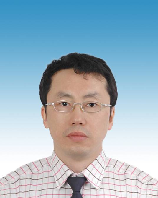 陈大鹏（中国科学院微电子研究所研究员）