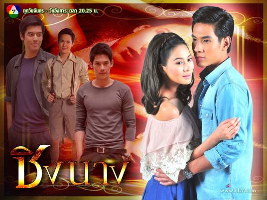 臻爱（2012年泰国电视剧）