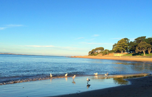 菲利普岛（澳大利亚维多利亚州南部西港海湾口的岛屿）