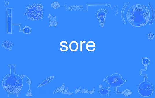 sore（英文单词）