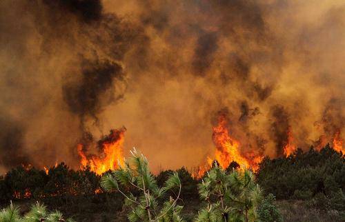 4·23青岛森林火灾