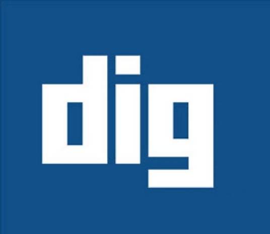 dig（英语单词）