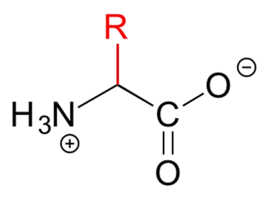 α-氨基酸