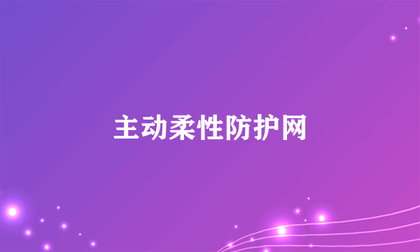 主动柔性防护网