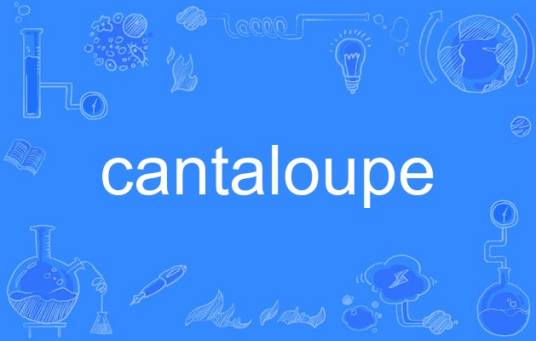 cantaloupe