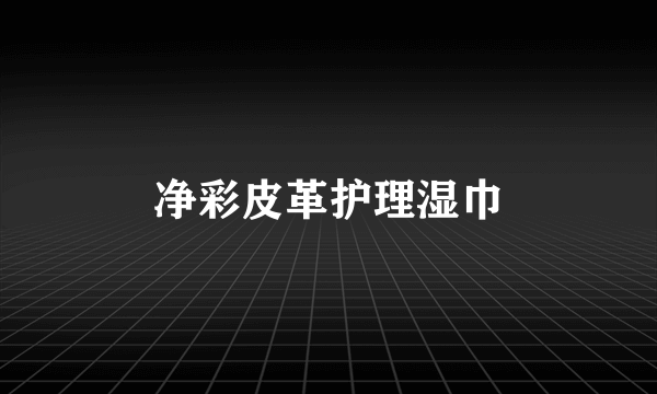 净彩皮革护理湿巾
