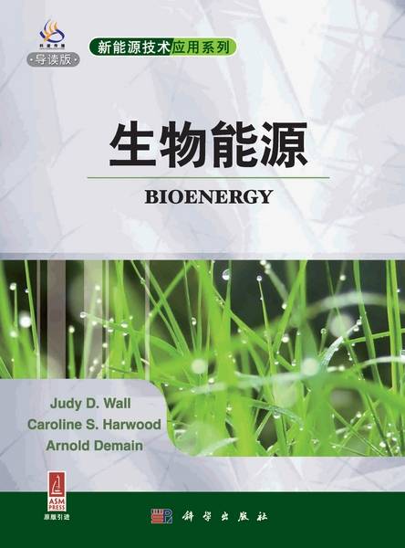 生物能源（2011年科学出版社出版的图书）