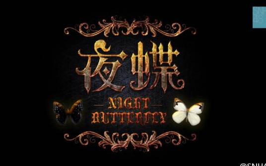 夜蝶（李艺彤黄婷婷演唱歌曲）