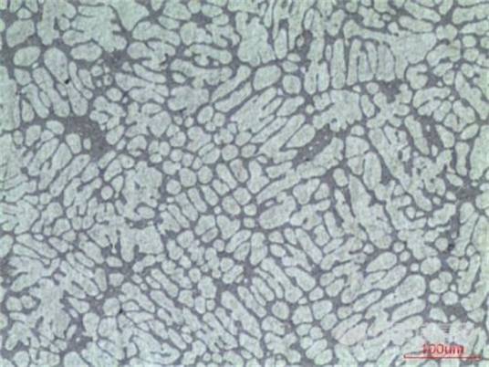 金相检验（物理学术语）