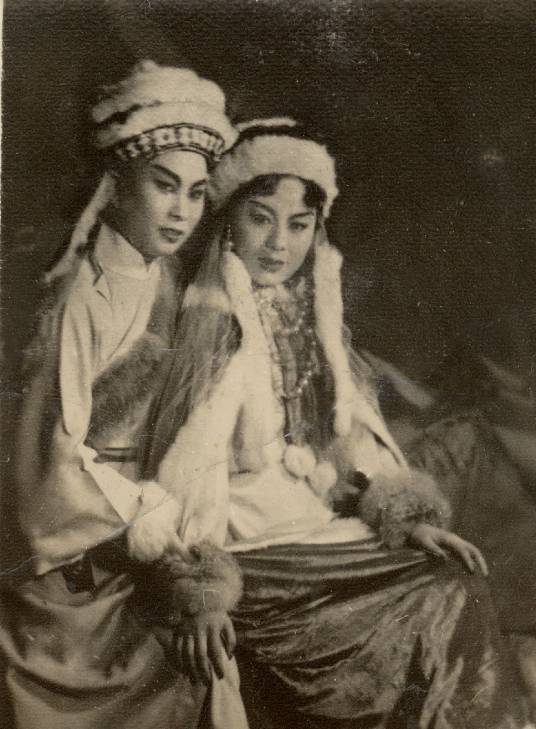 沙漠王子（越剧尹派代表剧目）