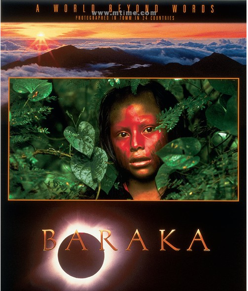 天地玄黄（美国1992年罗恩·弗里克执导电影）