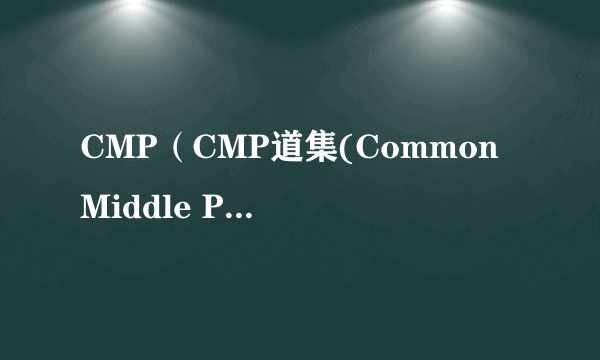 CMP（CMP道集(Common Middle Point)）